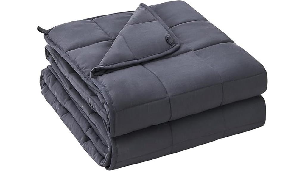 20 lb queen weighted blanket