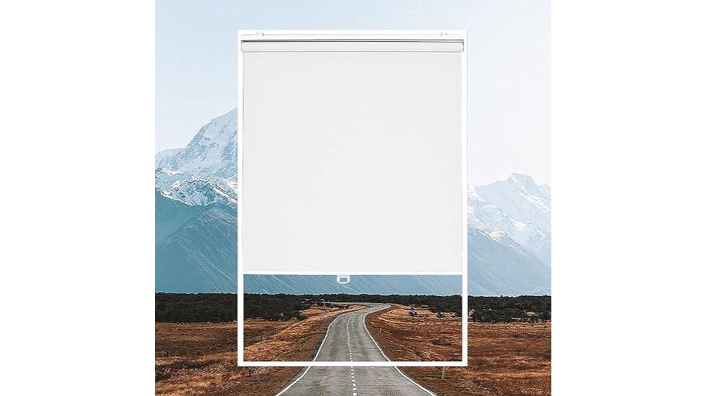blackout roller window shades