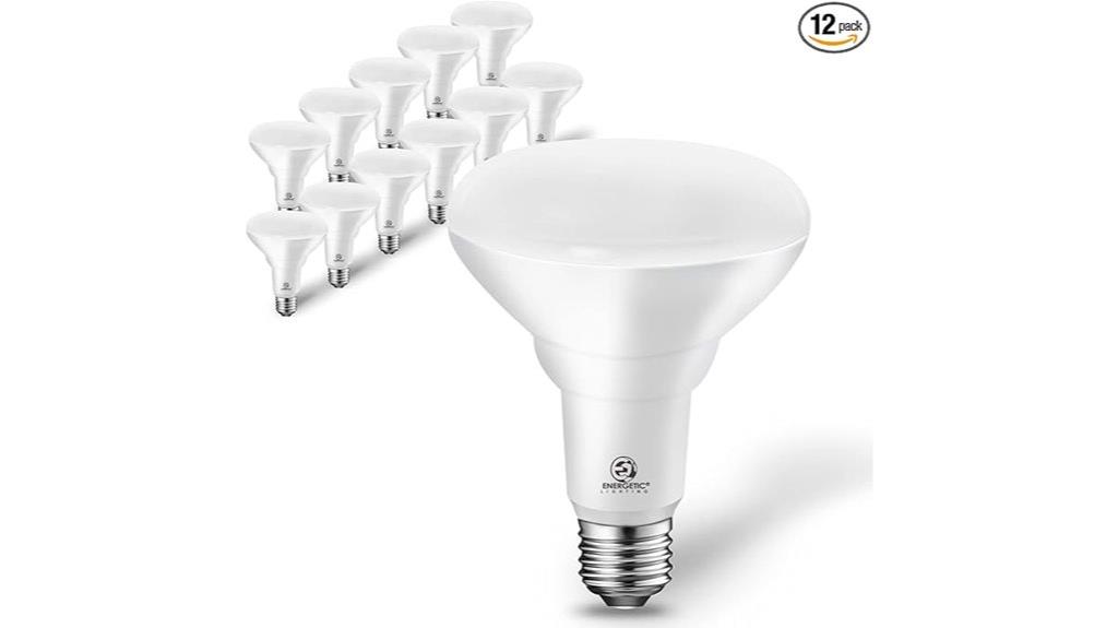 bright 12 pack ceiling flood