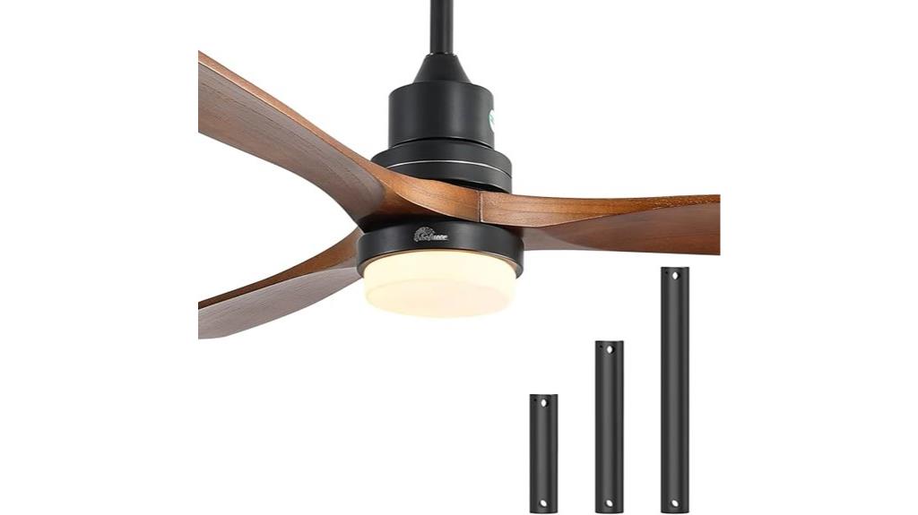 ceiling fan with lights