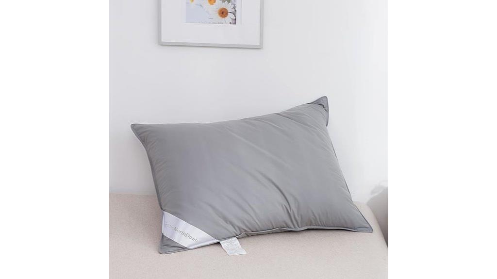 luxurious grey goose pillows