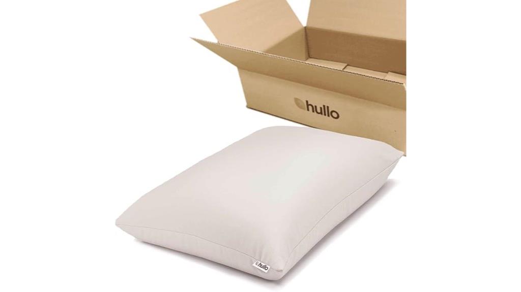 organic cooling buckwheat pillow