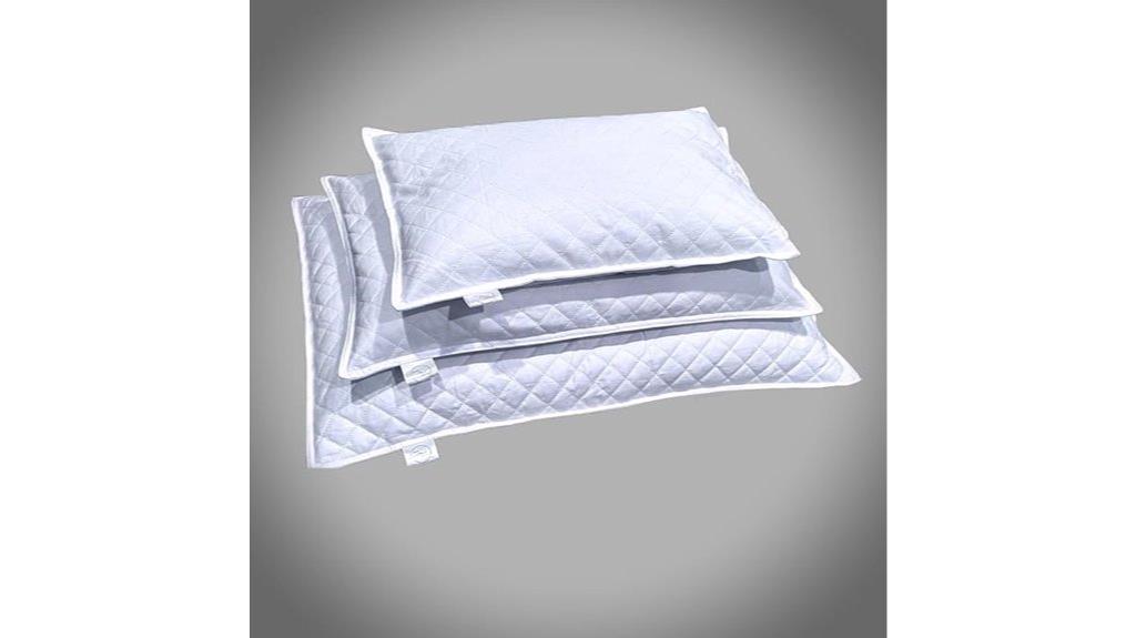 small buckwheat pillow