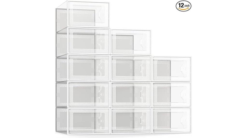 spring clear shoe organizer