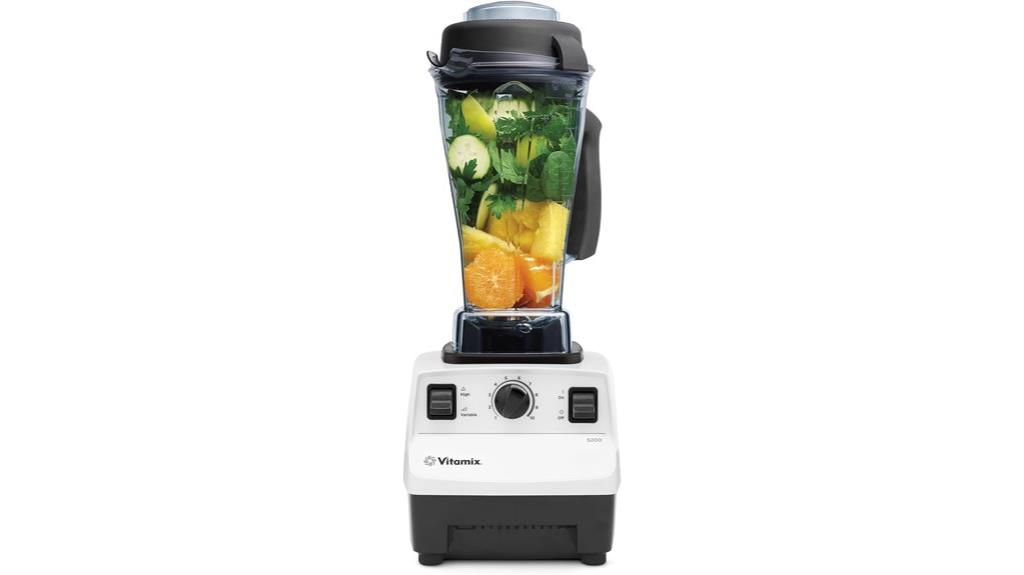professional grade vitamix blender
