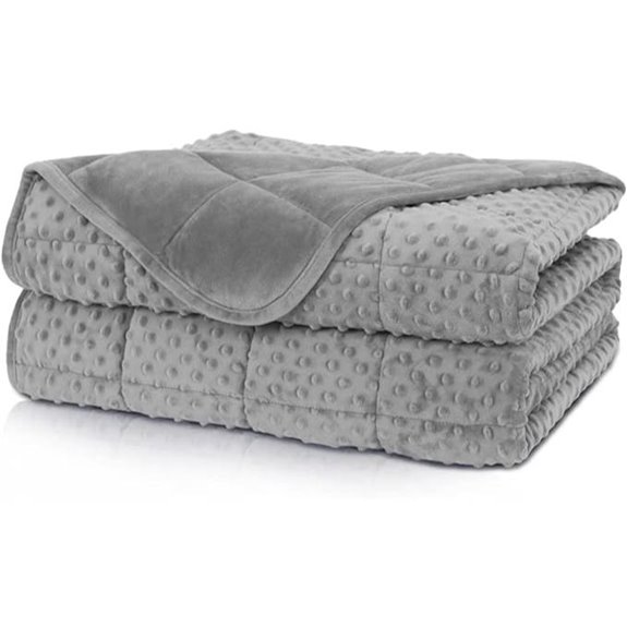 Weighted Twin Blanket 15lbs Breathable Soft Minky Gray