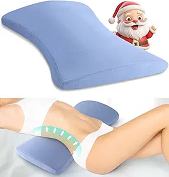 Lumbar Support Pillow for Back Pain Relief