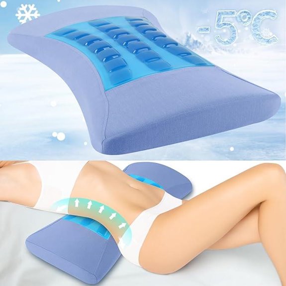 Lumbar Support Pillow for Back Pain Relief