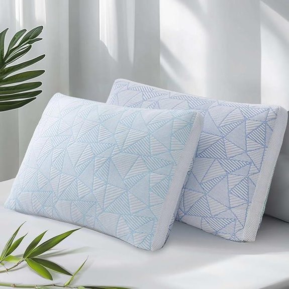 Sylvaris Memory Foam Cooling Bamboo Queen Pillows (Set of 2)
