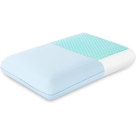 EGOHOME Cooling Gel Memory Foam Pillow