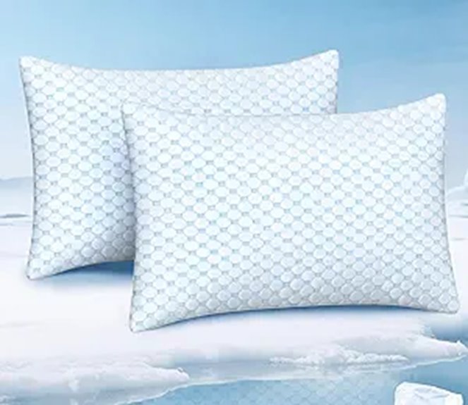Cooling Pillow Set for Hot Sleepers (Queen 2 Pack)