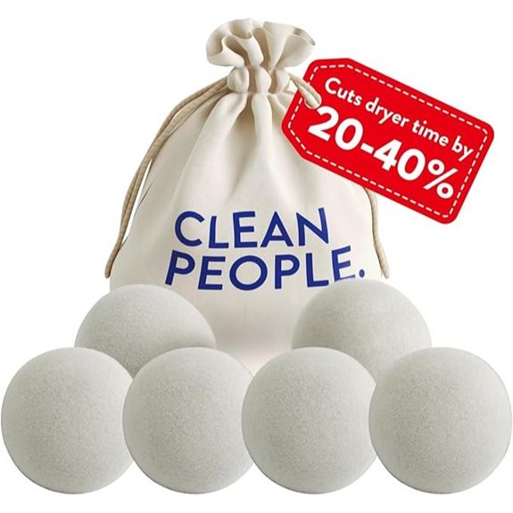 Clean People Wool Dryer Balls (6-Pack)