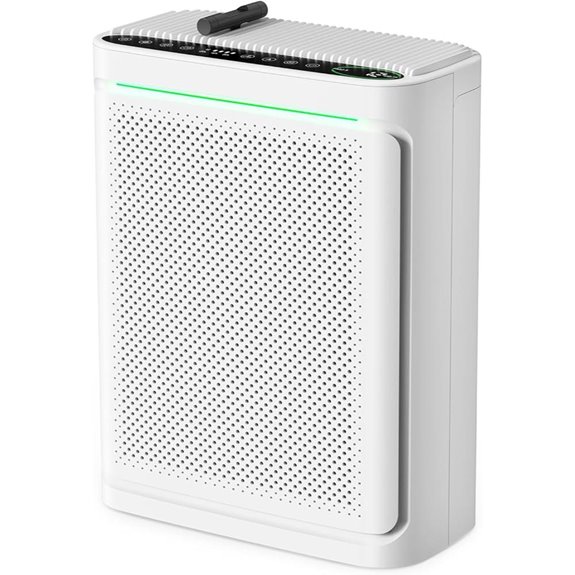 Air Purifier with HEPA Filter for Large Rooms