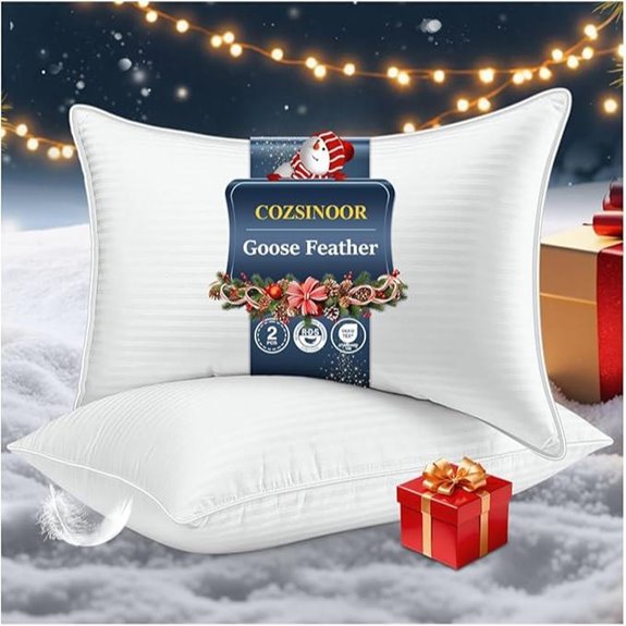 COZSINOOR Goose Feather Pillows Queen Set of 2