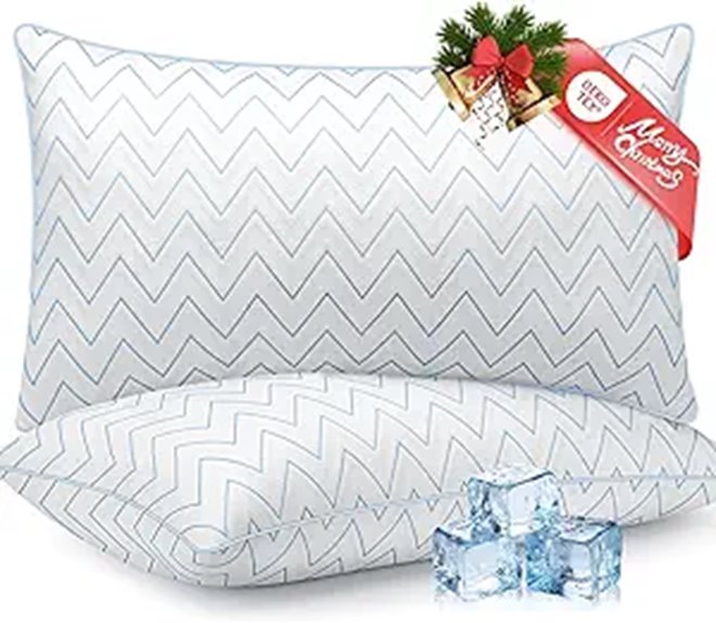 DIORIS Queen Pillows Set of 2 for Sleep