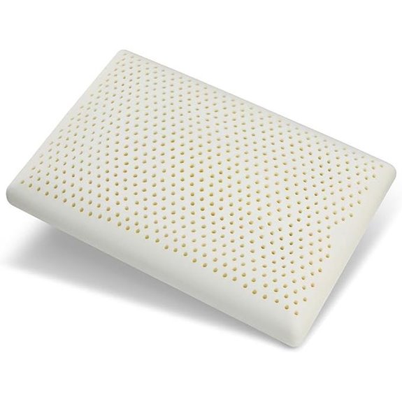 Latex Foam Travel Pillow with Removable Cover