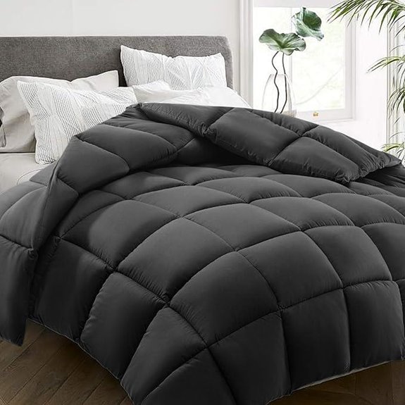 HYLEORY Queen All-Season Down Alternative Comforter