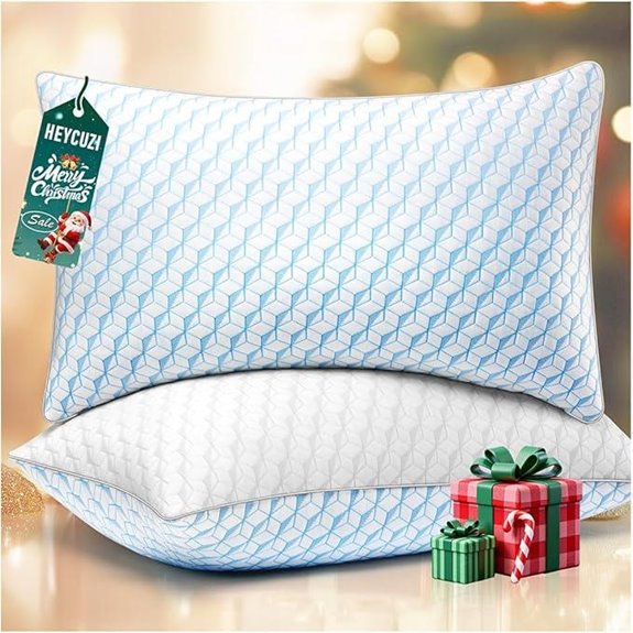 Queen Size Breathable Down Alternative Sleep Pillows (Set of 2)