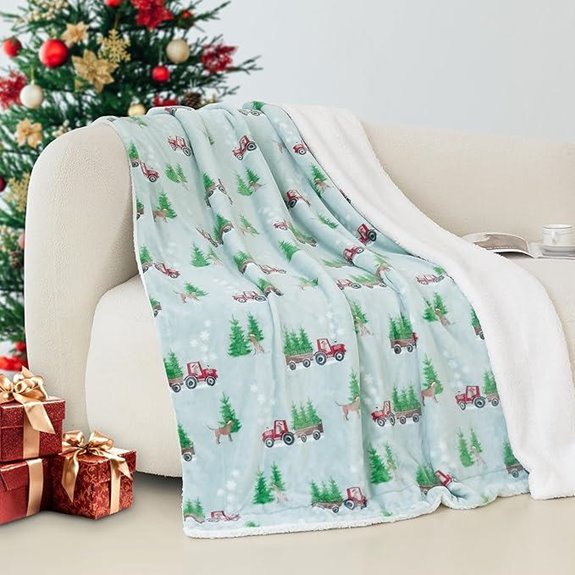Elegant Comfort Reversible Plush Sherpa Throw (50x60)