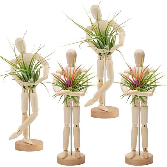 ANPHSIN 4 Pcs Wooden Air Plant Holders