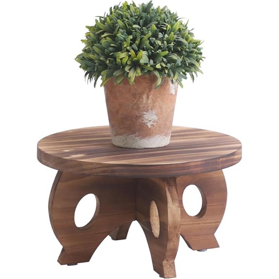 Indoor Wooden Plant Stand with Round Pedestal