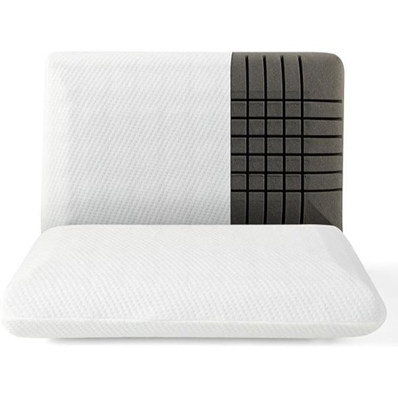 Giantex Charcoal Memory Foam Pillow 2 Pack