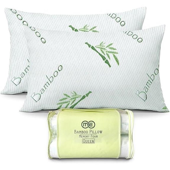 OMEO 2 Pack Queen Bamboo Rayon Memory Foam Pillows