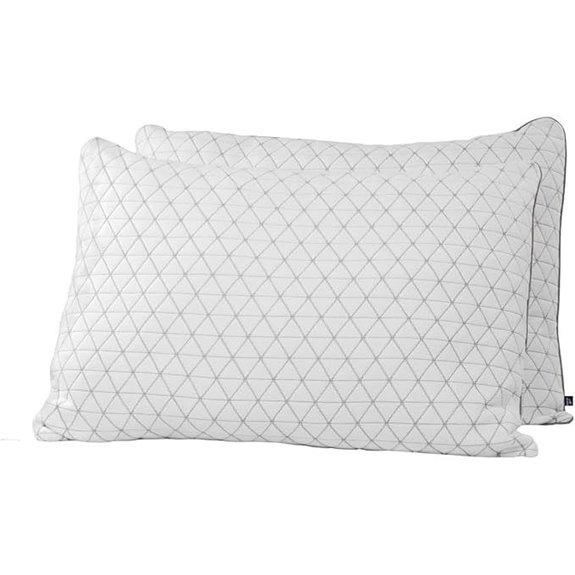 Reebok Charcoal Breeze Queen Pillow 2 Pack