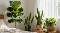 bedroom plants and allergies