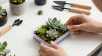 A U.K. designer made this phone case to reduce screen time. The terrarium plants will only survive if you put your screen down.