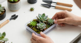 A U.K. designer made this phone case to reduce screen time. The terrarium plants will only survive if you put your screen down.