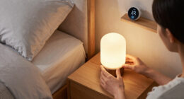 2 Best Home Night Lights in 2026